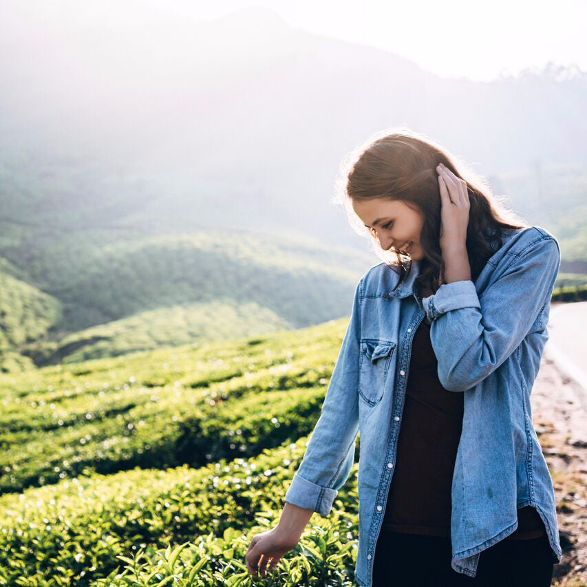 TYPES OF TEA VARIETIES